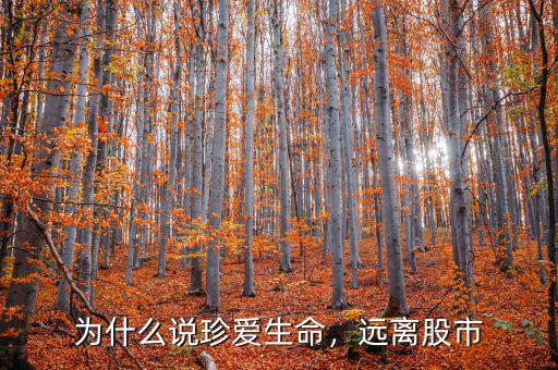 為什么說珍愛生命，遠(yuǎn)離股市