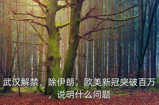 武漢解禁，除伊朗，歐美新冠突破百萬，說明什么問題