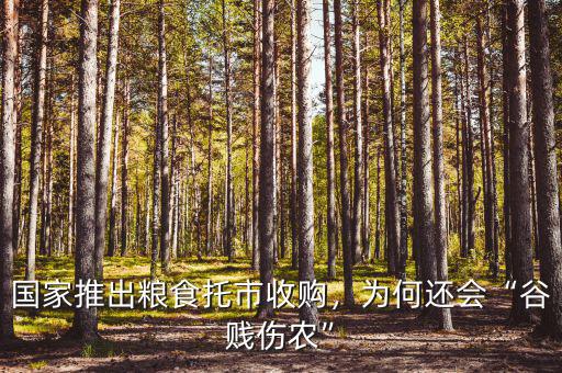 國家推出糧食托市收購，為何還會“谷賤傷農(nóng)”