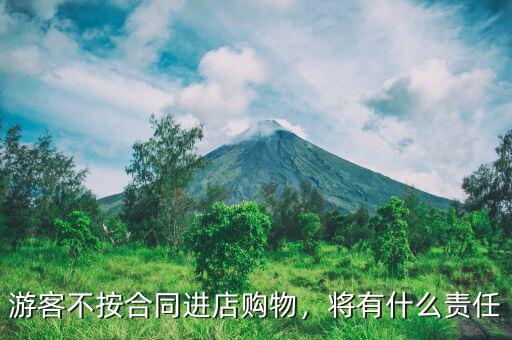 游客不按合同進(jìn)店購(gòu)物，將有什么責(zé)任