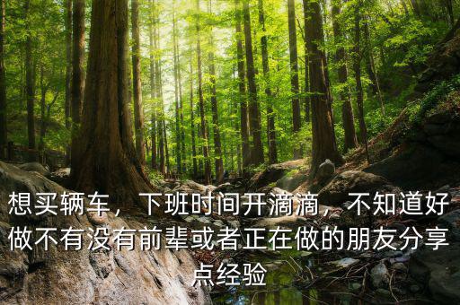 想買(mǎi)輛車(chē)，下班時(shí)間開(kāi)滴滴，不知道好做不有沒(méi)有前輩或者正在做的朋友分享點(diǎn)經(jīng)驗(yàn)