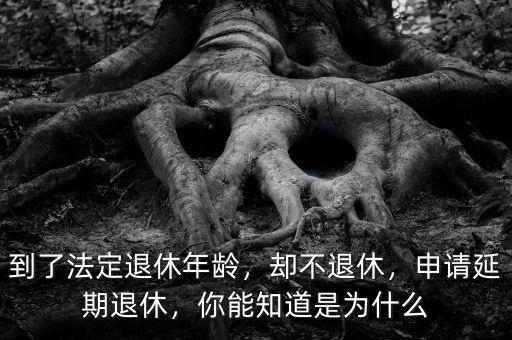 到了法定退休年齡，卻不退休，申請延期退休，你能知道是為什么