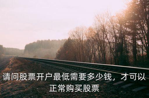 請(qǐng)問(wèn)股票開戶最低需要多少錢，才可以正常購(gòu)買股票