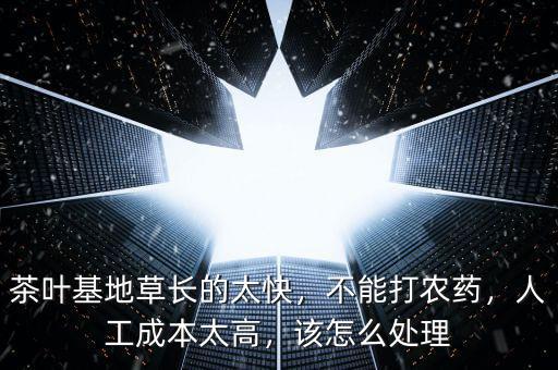 茶葉基地草長(zhǎng)的太快，不能打農(nóng)藥，人工成本太高，該怎么處理