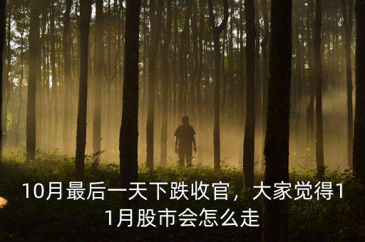 10月最后一天下跌收官，大家覺(jué)得11月股市會(huì)怎么走