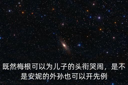 既然梅根可以為兒子的頭銜哭鬧，是不是安妮的外孫也可以開先例