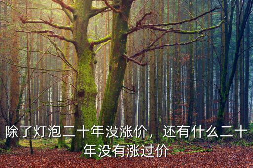 除了燈泡二十年沒漲價(jià)，還有什么二十年沒有漲過價(jià)