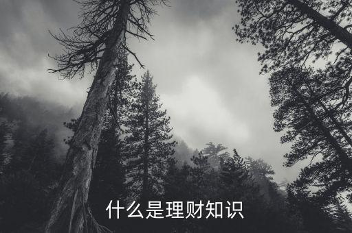 理財(cái)具體是什么,什么是理財(cái)知識