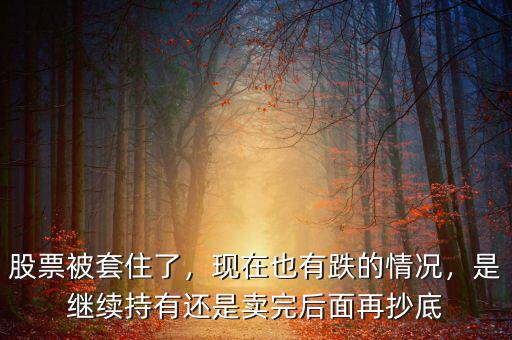 股票被套住了，現(xiàn)在也有跌的情況，是繼續(xù)持有還是賣(mài)完后面再抄底