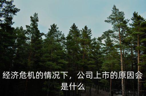 經(jīng)濟危機的情況下，公司上市的原因會是什么