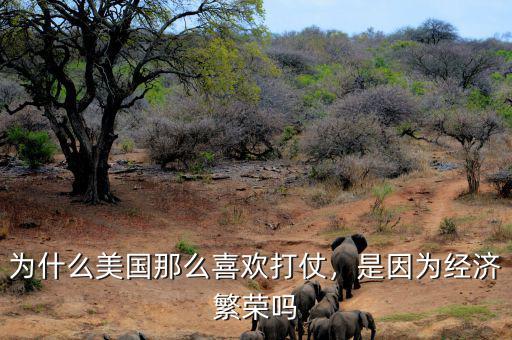 為什么美國那么喜歡打仗，是因為經(jīng)濟(jì)繁榮嗎