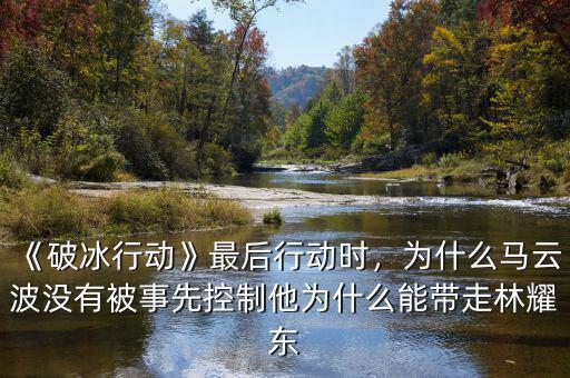 《破冰行動》最后行動時，為什么馬云波沒有被事先控制他為什么能帶走林耀東