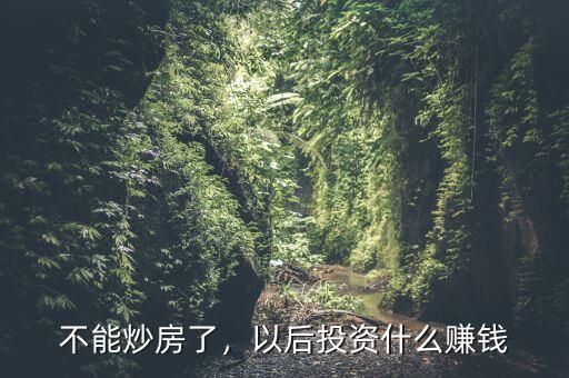 炒房之后炒什么,以后投資什么賺錢(qián)
