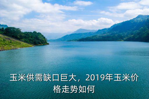 玉米供需缺口巨大，2019年玉米價(jià)格走勢(shì)如何