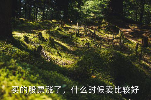 買的股票漲了，什么時候賣比較好