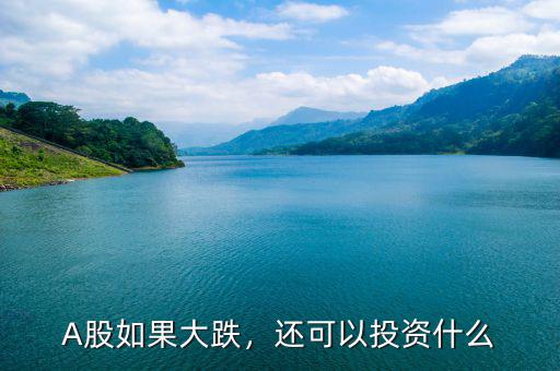 A股如果大跌，還可以投資什么