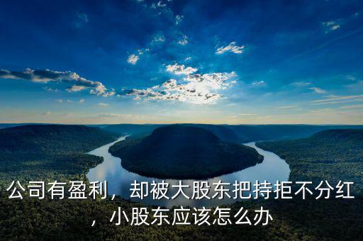 公司有盈利，卻被大股東把持拒不分紅，小股東應(yīng)該怎么辦