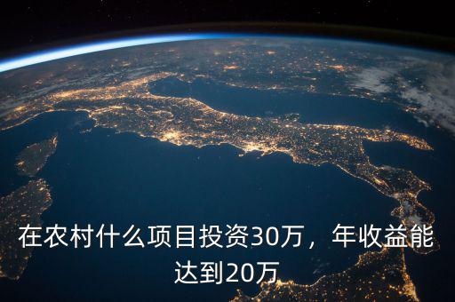 在農(nóng)村什么項(xiàng)目投資30萬，年收益能達(dá)到20萬