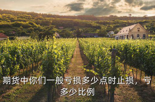 期貨中你們一般虧損多少點(diǎn)時(shí)止損，虧多少比例