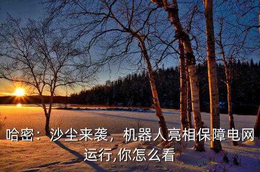哈密：沙塵來襲，機(jī)器人亮相保障電網(wǎng)運(yùn)行,你怎么看
