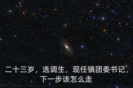 二十三歲，選調(diào)生，現(xiàn)任鎮(zhèn)團委書記，下一步該怎么走