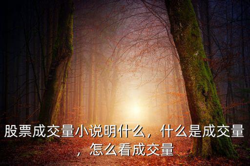 股票成交量小說明什么，什么是成交量，怎么看成交量