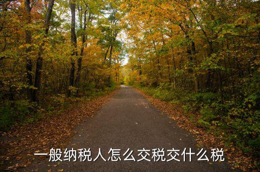 稅友可以繳納什么稅，一般納稅人應(yīng)該交什么稅稅率是多少啊