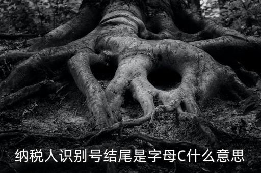 c級納稅人是什么意思，納稅人識別號結(jié)尾是字母C什么意思