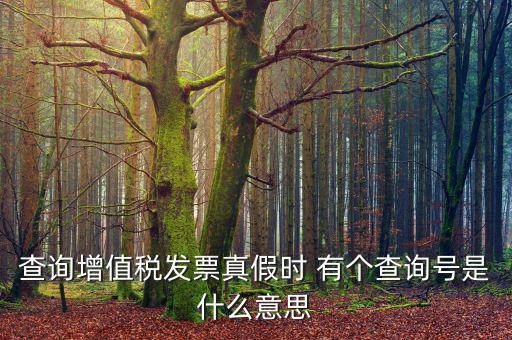 查詢(xún)?cè)鲋刀惏l(fā)票真假時(shí) 有個(gè)查詢(xún)號(hào)是什么意思