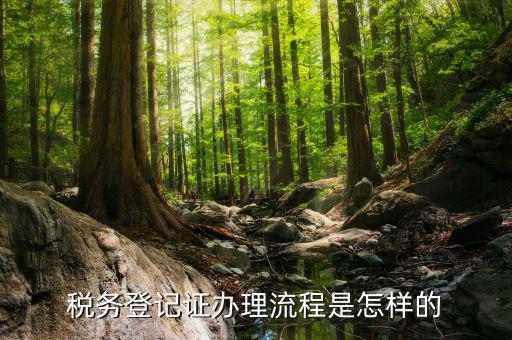 稅務(wù)證有什么流程，辦理稅務(wù)登記證需要什么手續(xù)