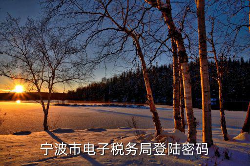 電子稅務默認登錄密碼是什么，稅務局網(wǎng)站的登入賬戶初始密碼是什么