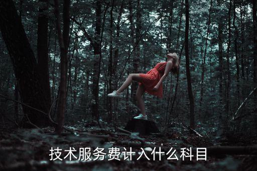 技術(shù)服務(wù)收入計入什么科目，收到技術(shù)服務(wù)費計入什么科目
