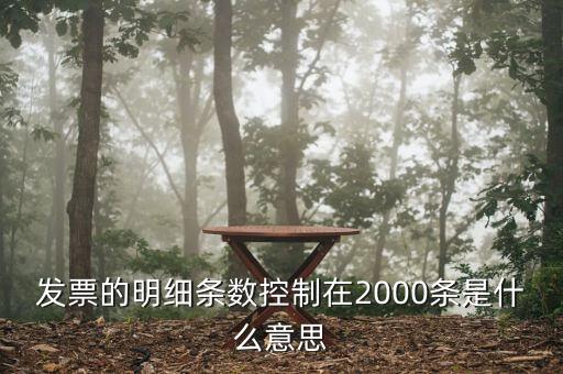 發(fā)票明細(xì)什么意思，發(fā)票的明細(xì)條數(shù)控制在2000條是什么意思