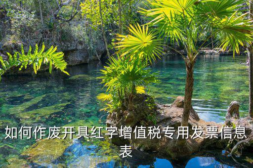 開具紅字信息表撤銷需要什么意思，我是購貨方開具紅字信息表錯(cuò)誤去稅務(wù)局撤銷信息表查看描寫