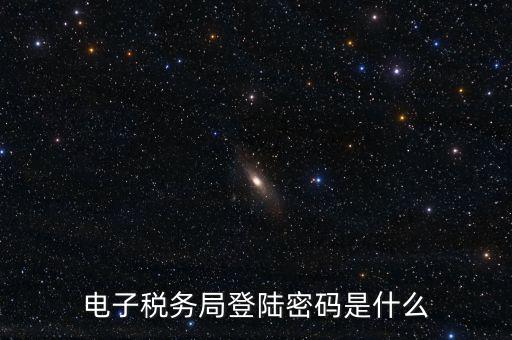 納稅人登路的密碼是什么，國稅第一次網上申報的登陸密碼是什么
