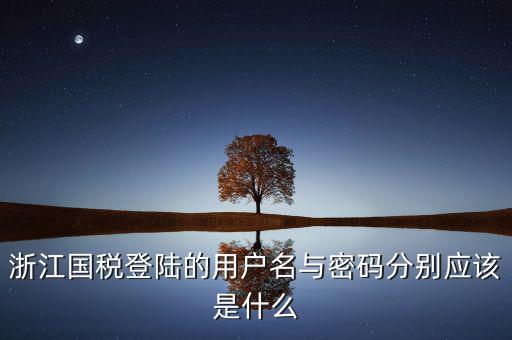 浙江省網(wǎng)上稅務(wù)局賬號是什么，電子稅務(wù)局賬號是什么號碼