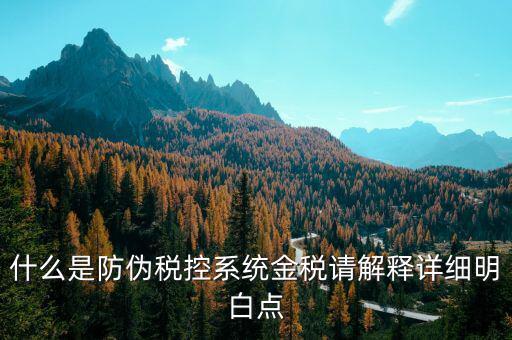 金稅控盤是什么意思，什么是防偽稅控系統(tǒng)金稅請(qǐng)解釋詳細(xì)明白點(diǎn)