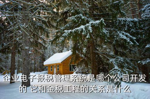 什么是網(wǎng)稅系統(tǒng)，企業(yè)電子報稅管理系統(tǒng)是哪個公司開發(fā)的 它和金稅工程的關(guān)系是什么