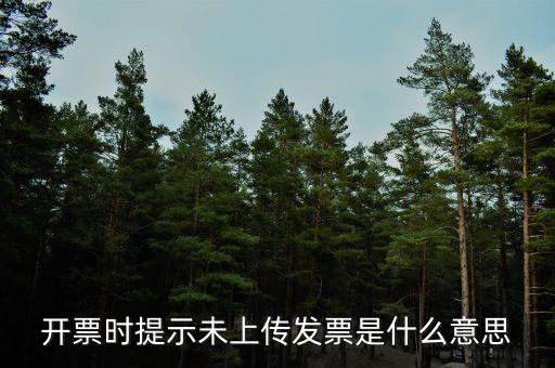 打發(fā)票時(shí)顯示未上傳是什么原因，電子發(fā)票未上傳