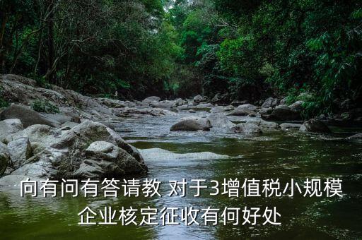 核定征收有什么好處，向有問有答請教 對于3增值稅小規(guī)模企業(yè)核定征收有何好處