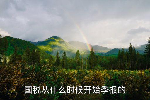 國(guó)稅什么時(shí)間申報(bào)，國(guó)稅從什么時(shí)候開(kāi)始季報(bào)的