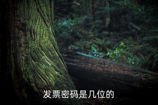 普通發(fā)票密碼是什么，國稅局發(fā)票軟件里用戶代碼和密碼是什么