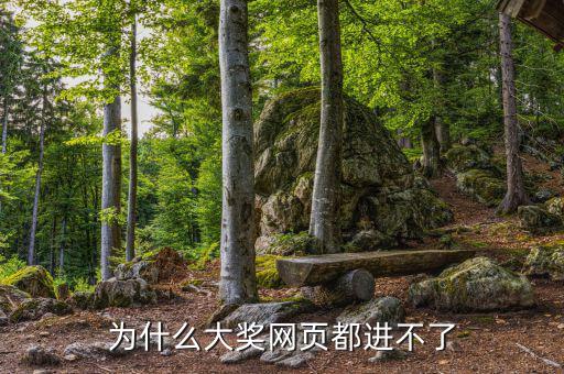 航天金穗網(wǎng)為什么進不去網(wǎng)頁，WW3ZHONGCN這個網(wǎng)站怎么進不去了呢