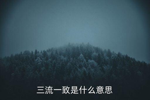 發(fā)票 流向一致是什么意思，發(fā)票四流一致是哪四流