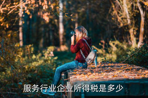 什么是接受服務(wù)企業(yè)所得稅，服務(wù)行業(yè)企業(yè)所得稅是多少