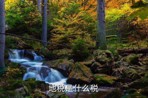 地稅專項(xiàng)收入是什么稅，地稅是什么稅