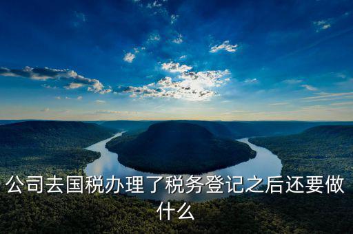 國(guó)稅辦完之后辦什么，公司去國(guó)稅辦理了稅務(wù)登記之后還要做什么