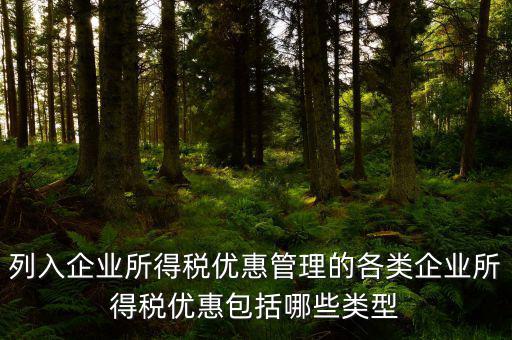 企業(yè)所得稅優(yōu)惠事項(xiàng)名稱(chēng)指什么，享受企業(yè)所得稅優(yōu)惠申請(qǐng)表中稅收優(yōu)惠事項(xiàng)名稱(chēng)怎么填