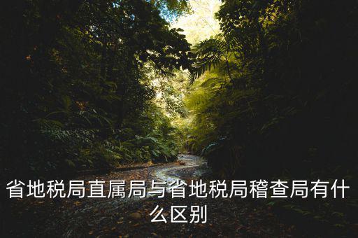 什么是地稅直屬局，國家稅務局直屬稅務分局是什么意思