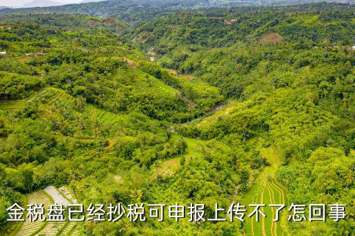 金稅申報(bào)發(fā)送不了是什么原因，金稅盤已經(jīng)抄稅可申報(bào)上傳不了怎回事